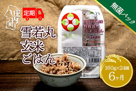 [8月中旬発送]6か月定期便!雪若丸 玄米パックごはん 24個(入金期限:2025.7.25)