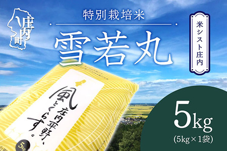 ăVXg Aƕ炷  5kg ʍ͔| ߘa7NY 2025NY uh RVqJ̌_AT̔˂̒n 