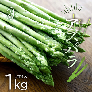 [R8.3月より順次発送]庄内町産 石井さんのアスパラガス 1kg Lサイズ(入金期限:2026.9.30)ジューシーな甘さ 野菜 グリーン アスパラ アスパラガス BBQ 旬 春 新鮮 山形 冷蔵