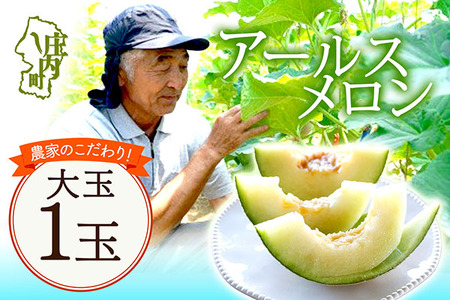 【R8.8月より順次発送】アールスメロン 大玉1玉（入金期限：2026.7.20）