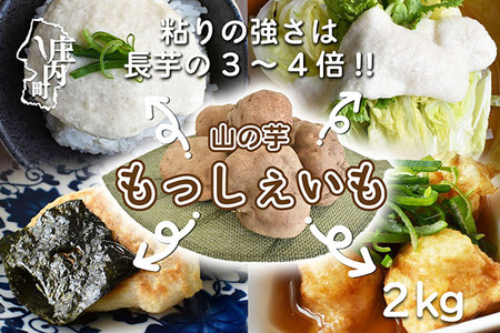 立谷沢産「もっしぇいも」山の芋2kg(11月下旬より順次発送)