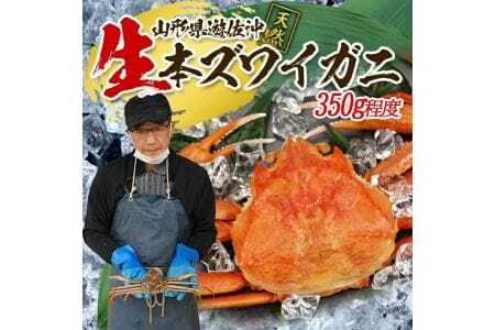 942 遊佐沖 春の生・本ズワイガニ 1匹 350g程度