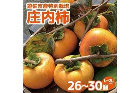 1215　遊佐町産特別栽培庄内柿5kg