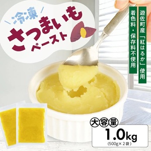 1180SA1000G@Ⓚ܂y[Xg1.0kg(500g×2)