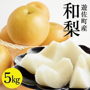 1234 遊佐町産和梨5kg