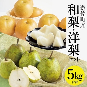 1235 遊佐町産和梨と洋梨のセット5kg