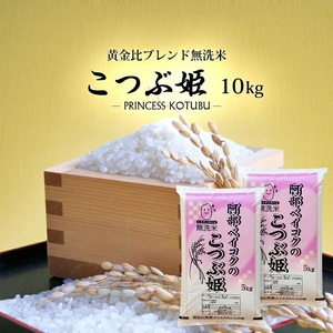 1252R07M11b 無洗米 こつぶ姫 5kg×2袋 計10kg 11月中旬