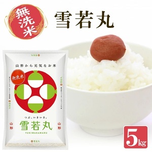 1253R07M12a 無洗米 山形県産雪若丸5kg(令和7年産米)12月上旬