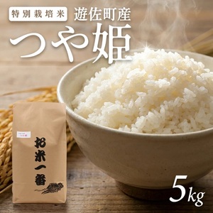 1330R07M03a　遊佐町産 特別栽培米つや姫5kg（令和7年産米）3月上旬