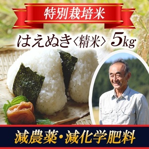 1398R07 特別栽培米 はえぬき5kg 山形県遊佐産 鳥海山の恵(令和7年産米)