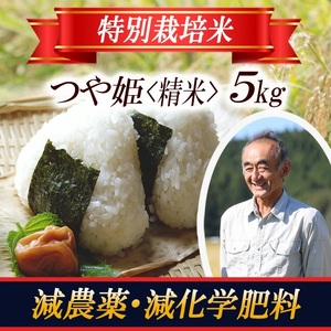 1401R07 特別栽培米 つや姫5kg 山形県遊佐産 鳥海山の恵(令和7年産米)