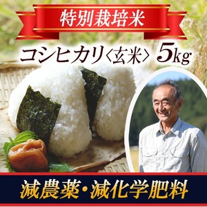 1405R07 特別栽培米 コシヒカリ 玄米 5kg 山形県遊佐産 鳥海山の恵(令和7年産米)