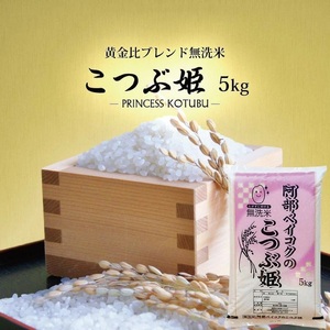 無洗米 こつぶ姫 5kg×1袋　4月上旬 [1396R07M04a]　