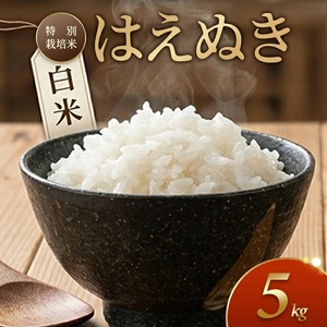 特別栽培米 はえぬき 5kg 白米 令和7年産 山形県産 東北 山形県 遊佐町 庄内地方 米 お米 庄内米 精米 ご飯 ごはん 産地直送 農家直送 [1421R07]