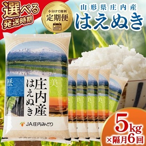 [隔月定期便]庄内産はえぬき5kg×6回隔月中旬発送 計30kg(5月〜隔月6回) [1502T05]