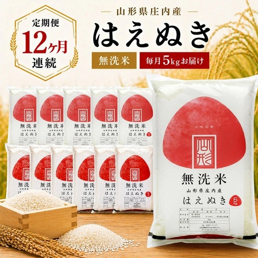 【定期便】無洗米はえぬき5kg×12ヶ月連続中旬発送 計60kg（7月～6月）[1543T07]