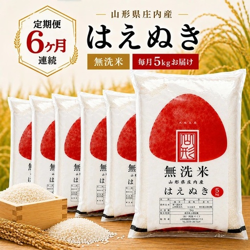 【定期便】無洗米はえぬき5kg×6ヶ月連続中旬発送 計30kg（7月～12月）[1544T07]