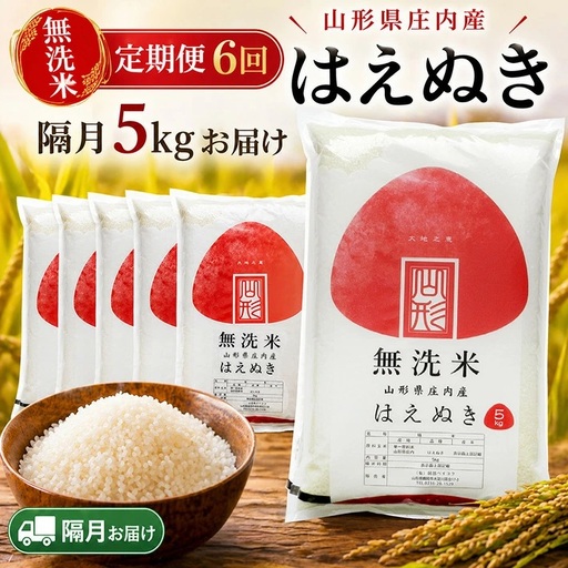 【隔月定期便】無洗米はえぬき5kg×6回隔月中旬発送 計30kg(7月～隔月6回) [1545T07]