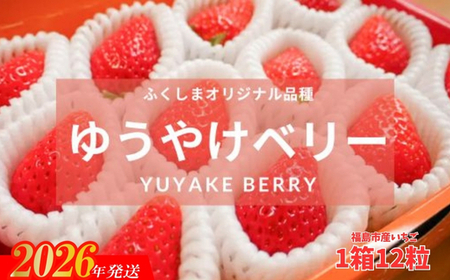 No.2849福島市産 いちご　ゆうやけベリー1箱12個入り（400g）【2026年１月下旬より発送】