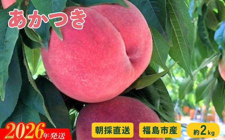 No.2875 朝採り直送!福島の桃「あかつき」約2kg [2026年発送]