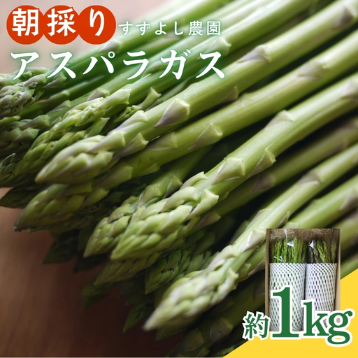 No.0793 【農家直送】鮮度抜群！ アスパラガス 1kg箱入【2026年発送】