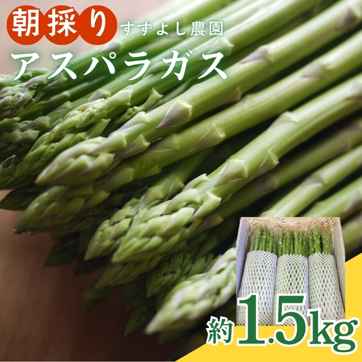 No.1059 【農家直送】鮮度抜群！ アスパラガス 1.5kg箱入【2026年発送】