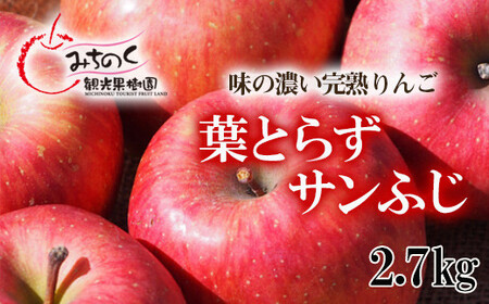 No.1924 ふくしまの葉取らずサンふじ 贈答用 約2.7kg[2025年度発送]
