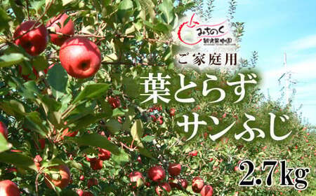 No.1926 ふくしまの葉取らずサンふじ ご家庭用 約2.7kg[2025年度発送]