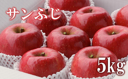 No.2307 񂲁uTӂv5kgy2025Nxz