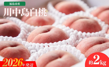 No.2723福島市産 川中島白桃 約2kg[2026年発送]