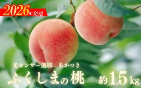 No.2919�ӂ����܂̓��u���Z���T�[�I�ʂ������v��1.5kg�y2026�N�����z