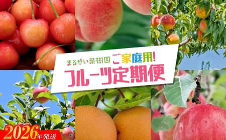 No.2945 まるせい果樹園 ご家庭用6回定期便[2026年発送]