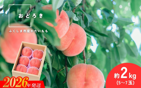 No.2987 �ł��� ���ǂ낫 ��2kg(5�`7��)�y2026�N�����z