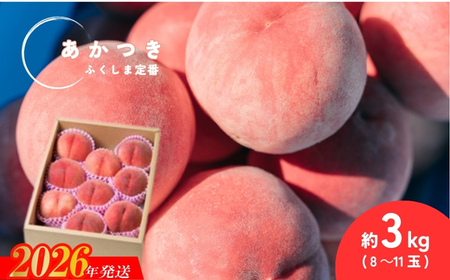 No.2990 ������� �����������s�Y�����u�������v��3kg(8�`11��)�y2026�N�����z