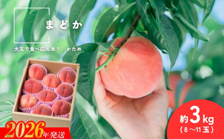 No.2992 �����������s�Y�����u�܂ǂ��v��3kg(8�`11��)�y2026�N�����z