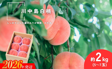 No.2993 �u�쒆�������v��2kg(5�`7��)�y2026�N�����z