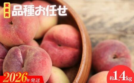 No.3006 ���@�i�킨�C���@�ƒ�p�@��1.4kg�y2026�N�����@��s�\��z