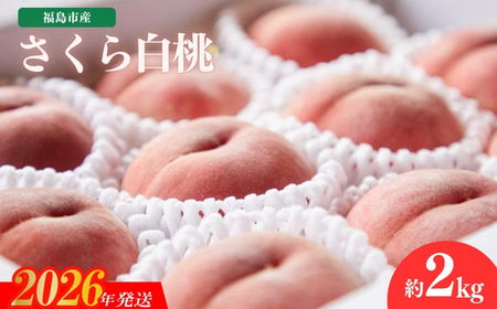 No.2724福島市産 さくら白桃 約2kg[2026年発送]