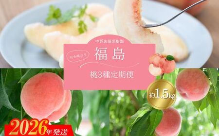 No.2968中野/佐藤果樹園 福島の桃3種定期便 各約1.5kg[2026年発送]