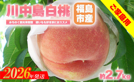 No.2986もも「川中島白桃」ご家庭用 約2.7kg[2026年発送 先行予約]