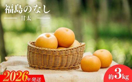 No.3060 宍戸果樹園　旬の特選梨（甘太3kg）【2026年発送】