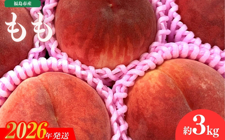 No.3061 ���̉w�ӂ����� �����s�Y�����@��3kg�i9�ʁ`12�ʁj�y2026�N�����z