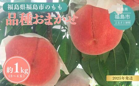 No.3111 福島の桃 約1kg(3〜4玉)品種おまかせ [2025年発送]