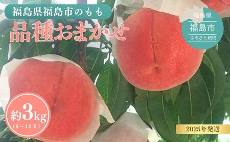 No.3113 ̓ 3kg(9`12ʁji킨܂  y2025Nz