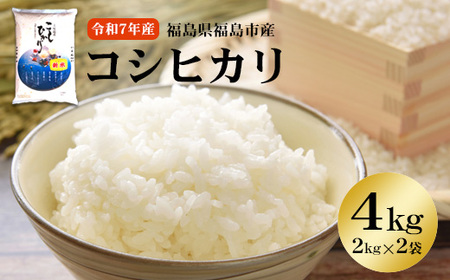 No.3247 yߘa7NYz [gX sYRVqJ 4kg