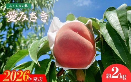 No.3234 福島のもも「愛みさき」 約2kg