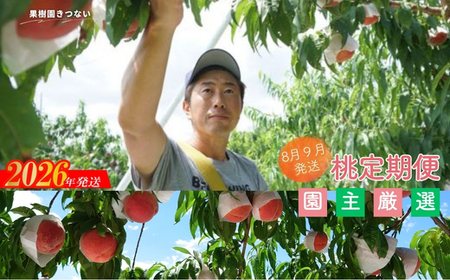 No.3235 果樹園きつない8月9月品種お任せ定期便(2回)