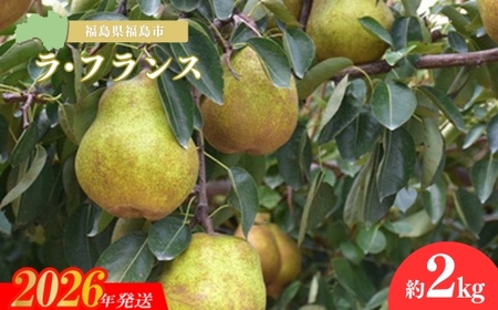 No.3244 ���}�l����ʎ��� ���t�����X��2kg�y2026�N�����z