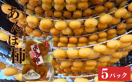 No.1804ヤマ孝紺野果樹園 あんぽ柿(ひらたね柿)5パック入/1箱[2025年度発送]
