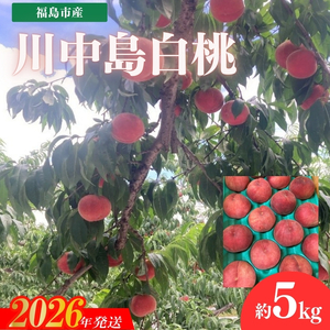 No.3266 安斎果樹園 福島のもも 「川中島白桃」約5kg(13玉〜15玉)[2026年発送]